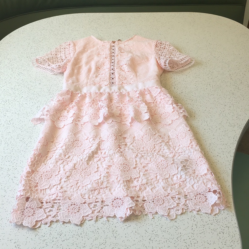 Ted Baker London Pink Lace Dress